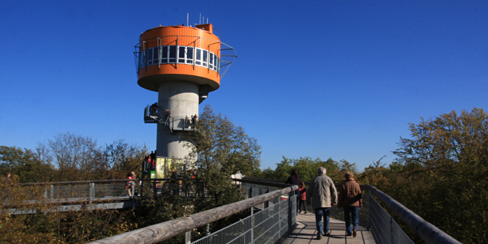 Baumkronenpfad im Hainich